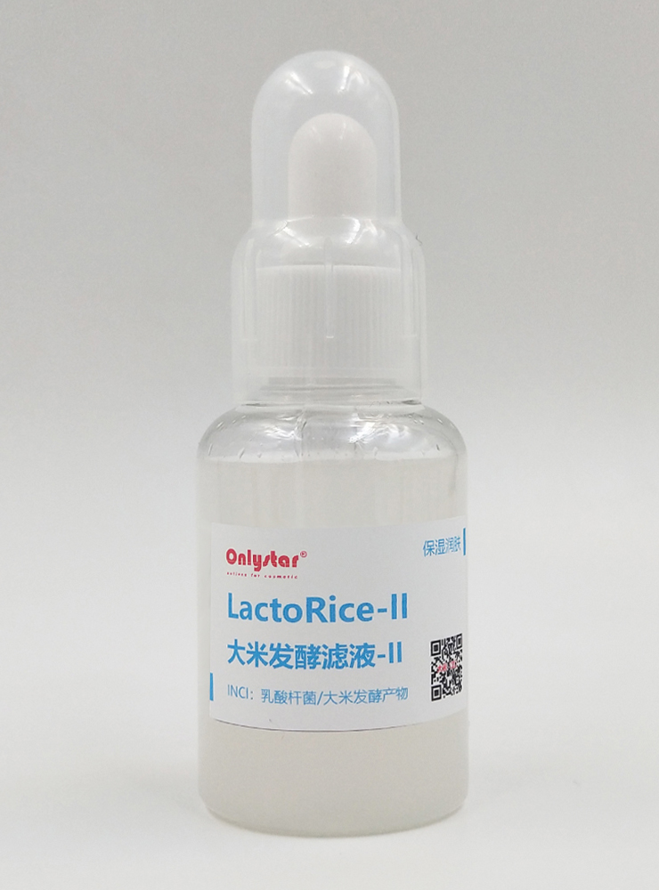 大米发酵滤液(Ⅱ) LactoRice(Ⅱ)