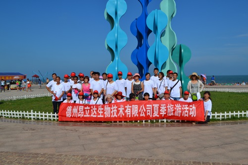 公司夏季旅游活动